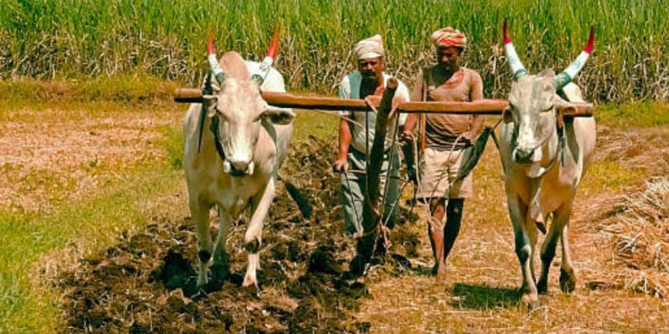 शेतकर्‍यांसाठी विविध पुरस्कार