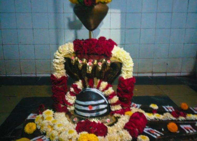 तात्या विंचू आणि गोरिला मंद्रूपमध्ये !