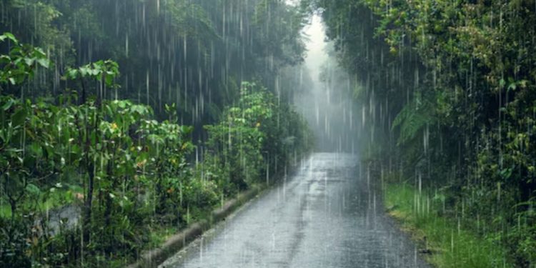 हवामानात बदल मात्र १० जूनपर्यंत पाऊस गायब ?