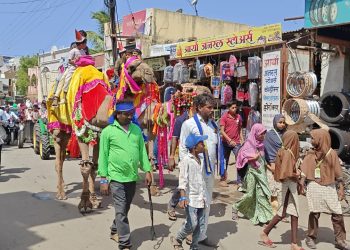 उंटावरील मिरवणूकीने मुले भारावली.