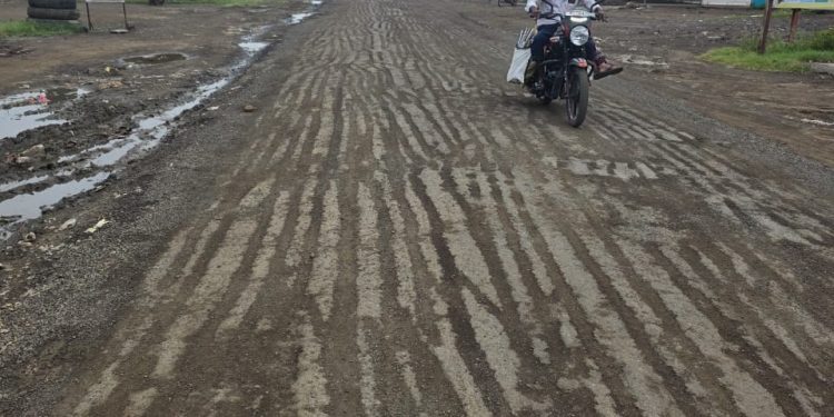 मंद्रूप-निंबर्गी-भंडारकवठे रस्त्याचे काम ‘कासव’ गतीने !