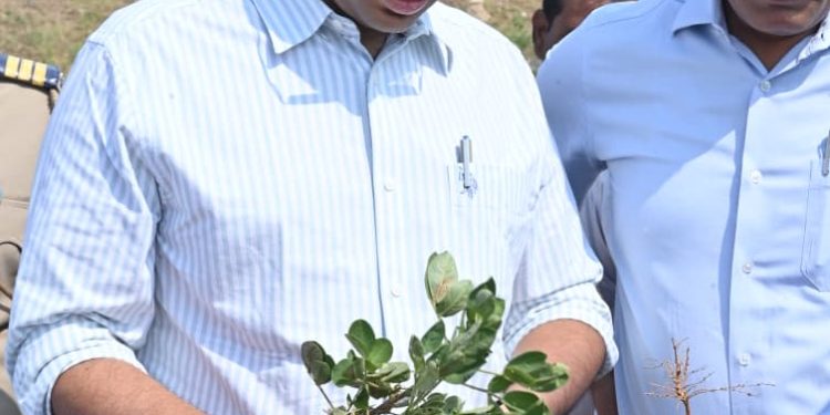 छावणी नको, अनुदान द्या! – दुष्काळग्रस्त शेतकऱ्यांचे जिल्हाधिकाऱ्यांसमोर साकडे!