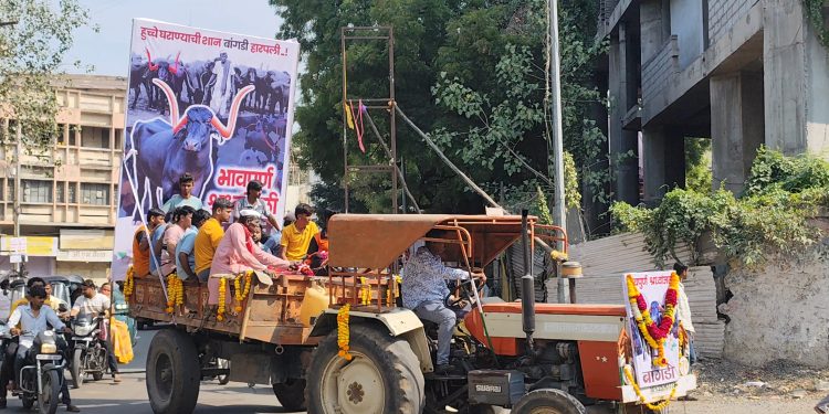 सोलापुरात निघाली “बांगडी”  म्हशीची अंत्ययात्रा